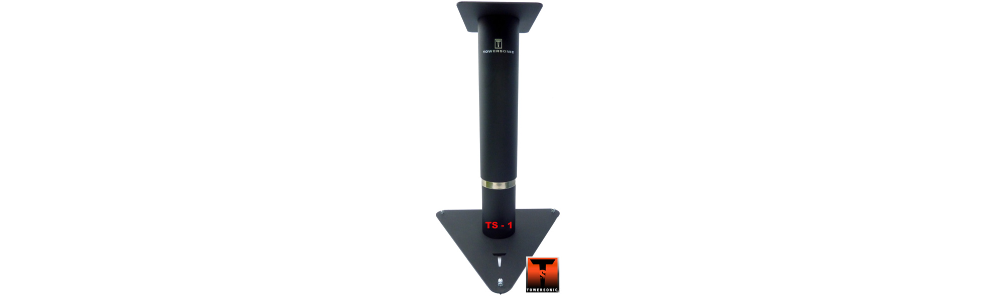 TS1